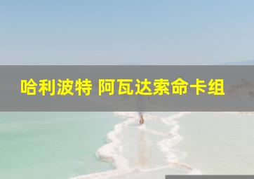 哈利波特 阿瓦达索命卡组